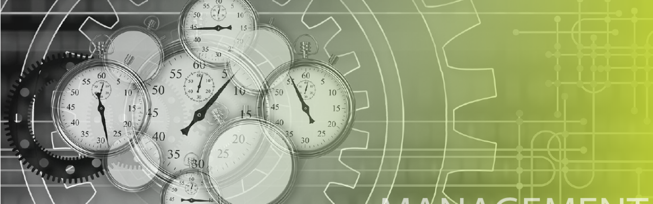 Services Professionnels & Consulting